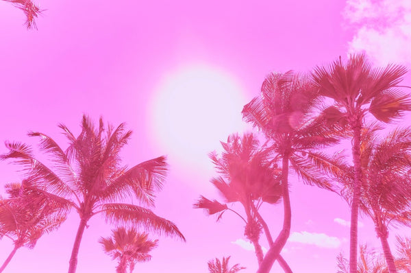 Antoine Verglas - St. Barths Pink Palms